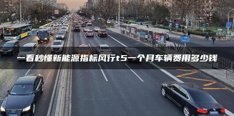 一看秒懂新能源指标风行t5一个月车辆费用多少钱