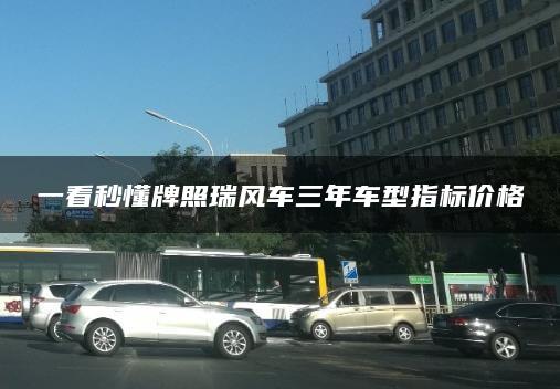 一看秒懂牌照瑞风车三年车型指标价格