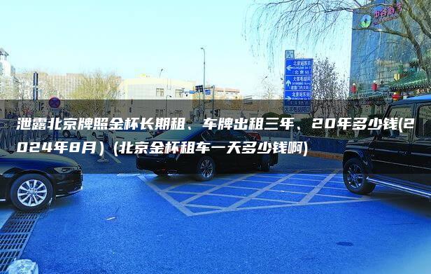 泄露北京牌照金杯长期租、车牌出租三年、20年多少钱(2024年8月）(北京金杯租车一天多少钱啊)