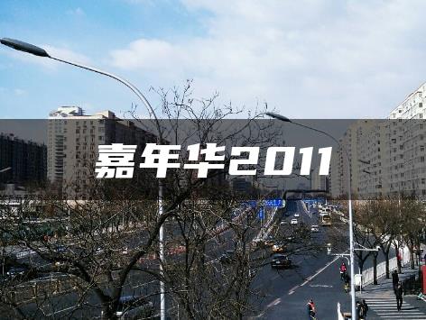 嘉年华2011
