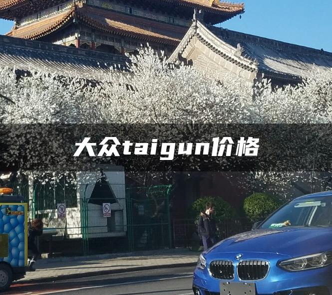 大众taigun价格