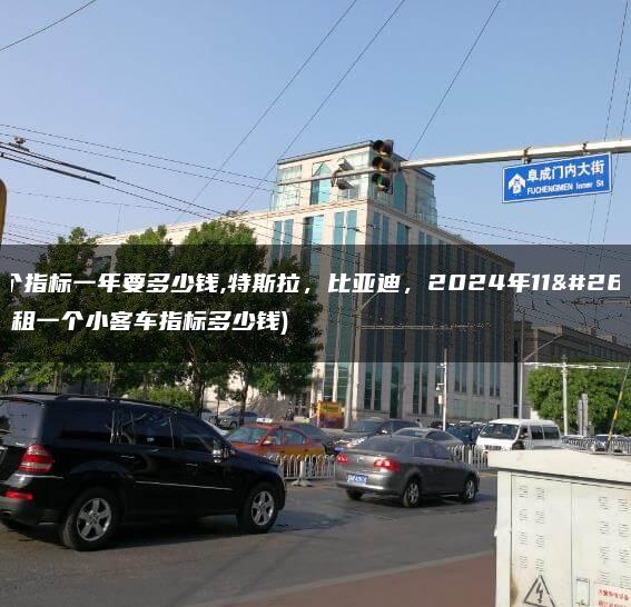 租一个指标一年要多少钱,特斯拉，比亚迪，2024年11月11日(租一个小客车指标多少钱)