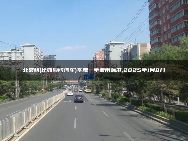 北京租(比如海鸥汽车)车牌一年费用标准,2025年1月8日