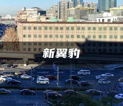 新翼豹